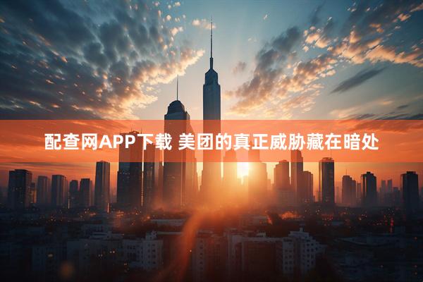 配查网APP下载 美团的真正威胁藏在暗处