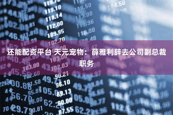 还能配资平台 天元宠物：薛雅利辞去公司副总裁职务