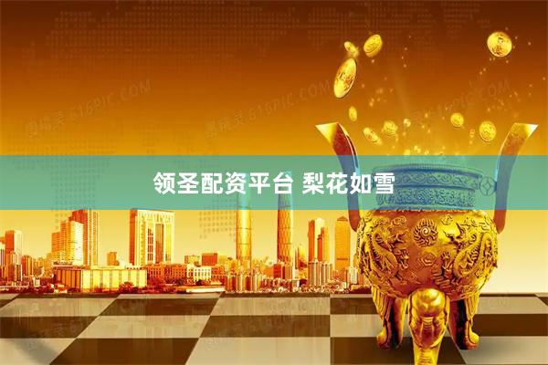 领圣配资平台 梨花如雪